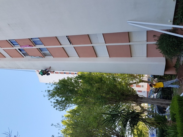 Descrição da primeira fotografia